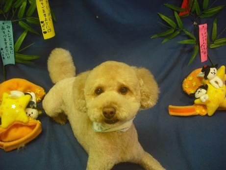 ファイル 4255-1.jpg