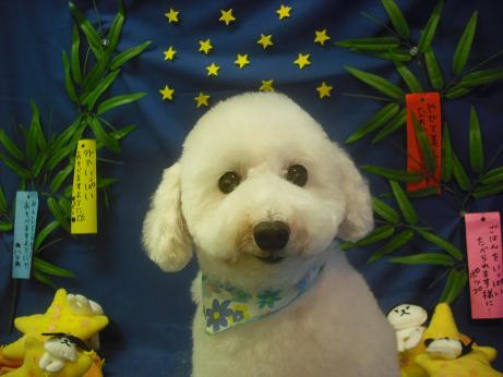 ファイル 4256-2.jpg