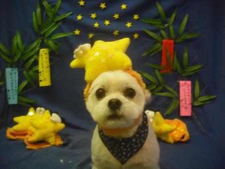 ファイル 4257-1.jpg