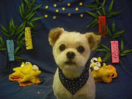 ファイル 4257-2.jpg