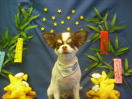 ファイル 4258-1.jpg