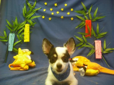 ファイル 4259-2.jpg