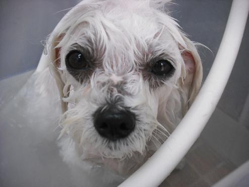 ファイル 426-2.jpg