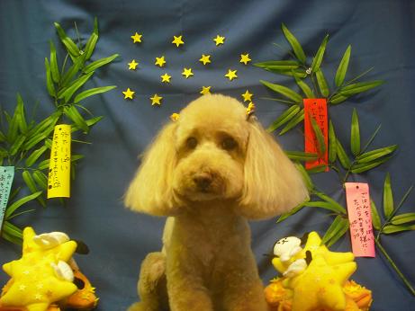 ファイル 4260-2.jpg