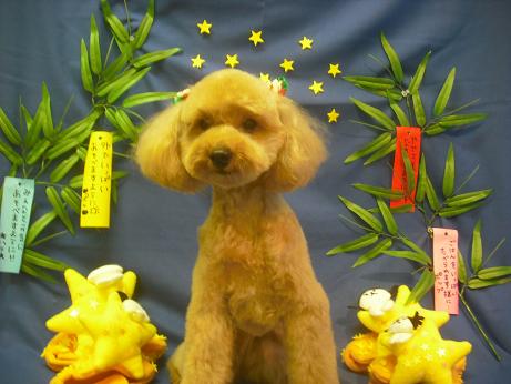 ファイル 4261-1.jpg