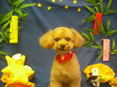 ファイル 4262-2.jpg