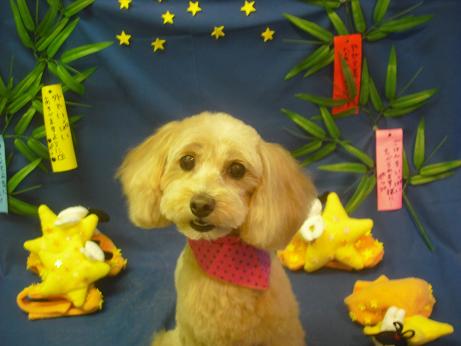 ファイル 4263-2.jpg