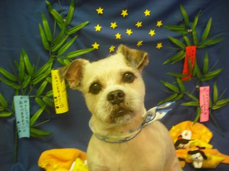 ファイル 4264-1.jpg