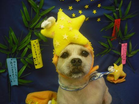 ファイル 4264-2.jpg