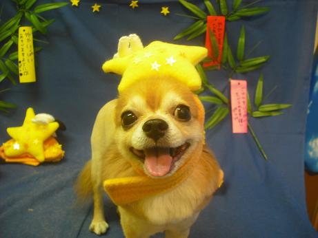 ファイル 4265-1.jpg