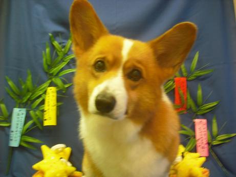 ファイル 4266-1.jpg