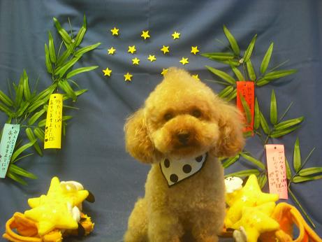 ファイル 4267-2.jpg