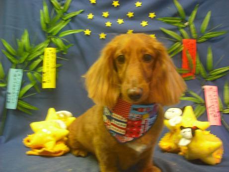 ファイル 4269-2.jpg