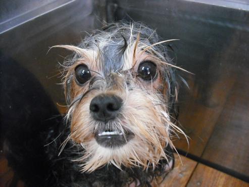 ファイル 427-1.jpg