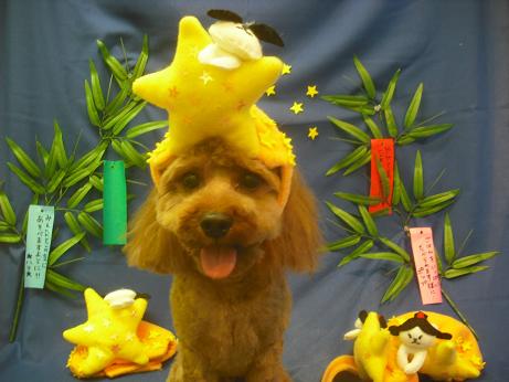 ファイル 4271-1.jpg