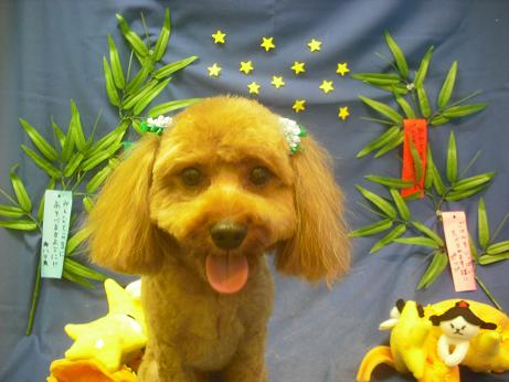 ファイル 4271-2.jpg