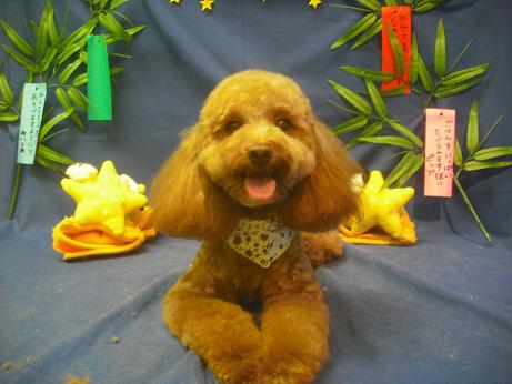 ファイル 4272-1.jpg