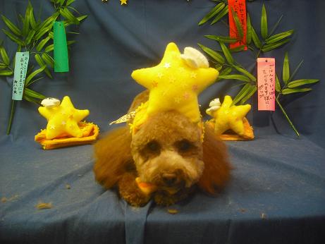 ファイル 4272-2.jpg