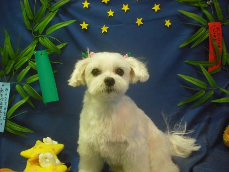 ファイル 4273-2.jpg