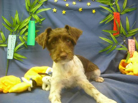 ファイル 4274-2.jpg