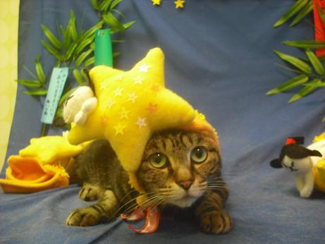 ファイル 4277-1.jpg