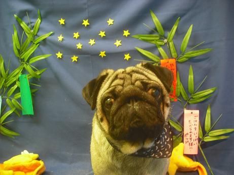 ファイル 4278-2.jpg