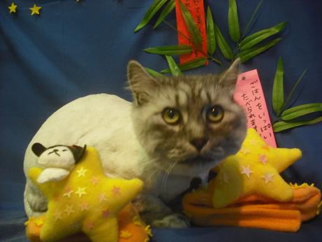 ファイル 4279-2.jpg