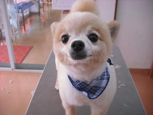 ファイル 428-1.jpg