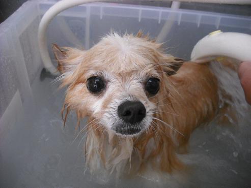 ファイル 428-2.jpg