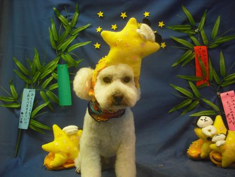 ファイル 4280-1.jpg