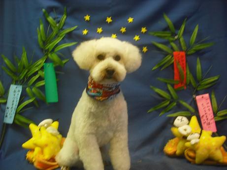 ファイル 4280-2.jpg