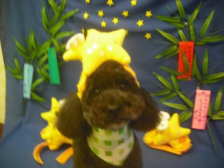 ファイル 4283-1.jpg