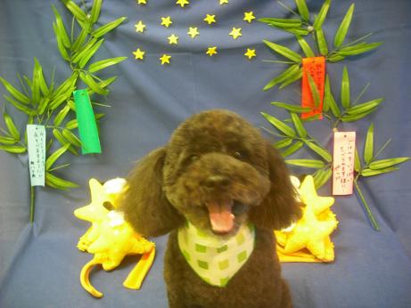 ファイル 4283-2.jpg