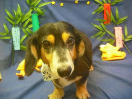 ファイル 4284-2.jpg