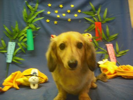 ファイル 4285-2.jpg