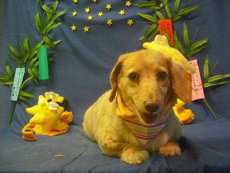 ファイル 4287-1.jpg