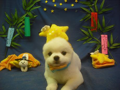 ファイル 4288-1.jpg