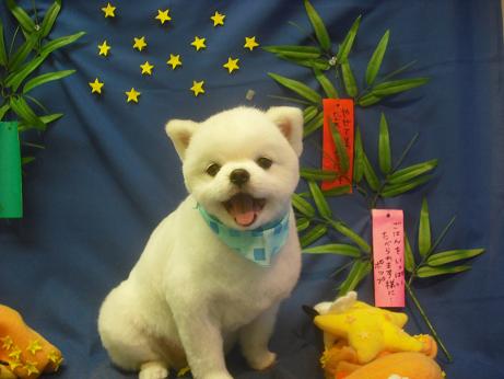 ファイル 4288-2.jpg