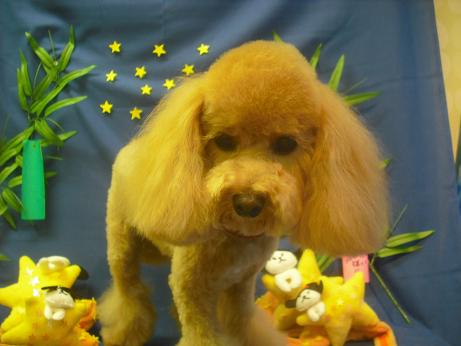 ファイル 4289-2.jpg