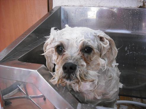 ファイル 429-3.jpg