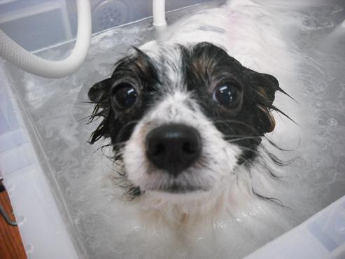 ファイル 43-2.jpg