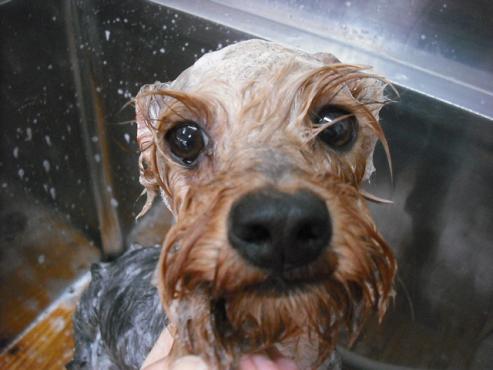 ファイル 430-2.jpg