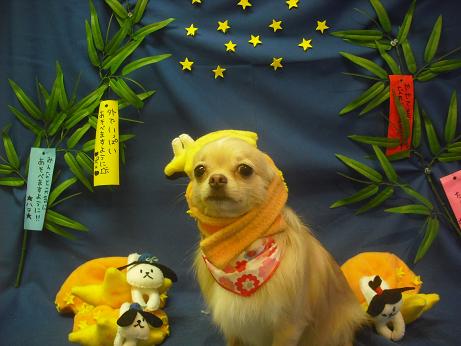 ファイル 4303-1.jpg