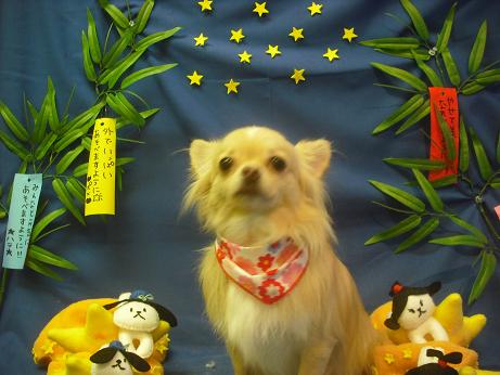 ファイル 4303-2.jpg