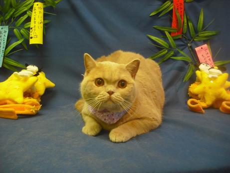 ファイル 4304-1.jpg