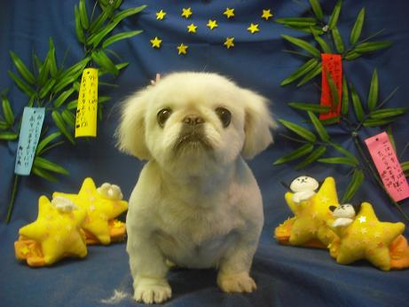 ファイル 4306-2.jpg