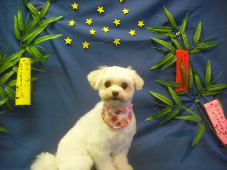 ファイル 4307-2.jpg