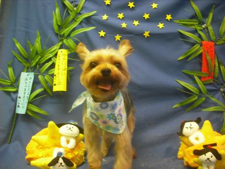 ファイル 4308-2.jpg