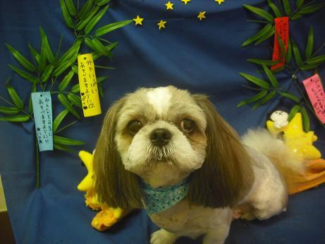 ファイル 4309-2.jpg