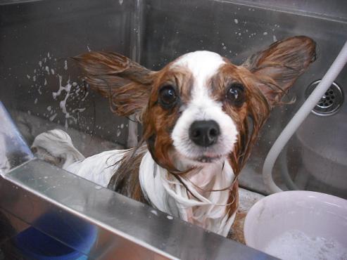 ファイル 431-2.jpg